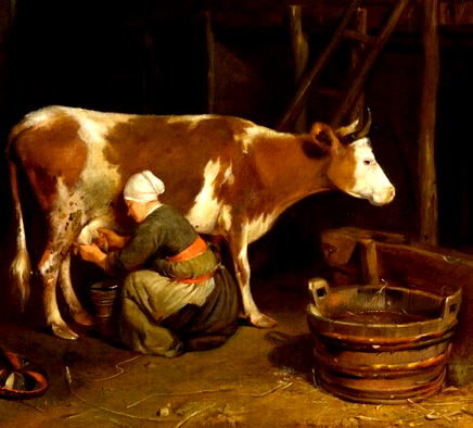Woman Milking Cow